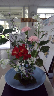 WIN_20251031_08_56_00_Pro