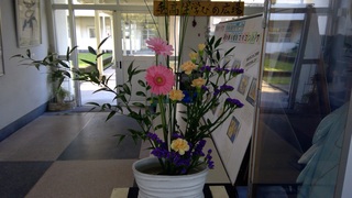 WIN_20251106_07_46_02_Pro (1)