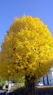 WIN_20251216_09_57_02_Pro