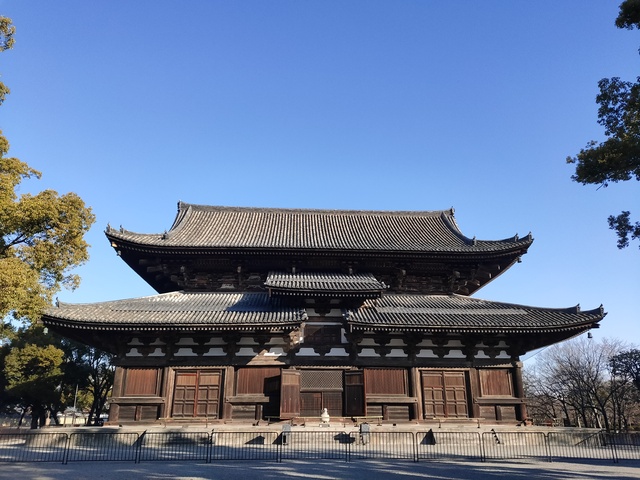 IMG20250129東寺 IMG20250129東寺