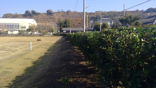 WIN_20260213_10_04_48_Pro