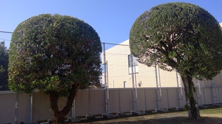 WIN_20260213_10_06_55_Pro