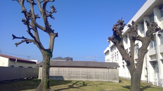 WIN_20260213_10_07_36_Pro