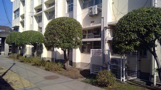 WIN_20260213_10_09_55_Pro