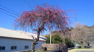 WIN_20260217_14_40_57_Pro