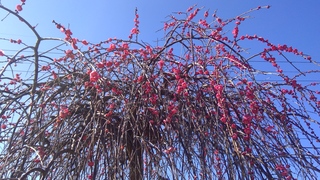 WIN_20260217_14_41_11_Pro