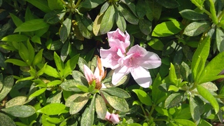 WIN_20260317_11_14_36_Pro