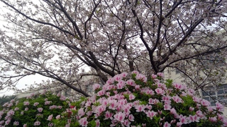 WIN_20260406_08_09_50_Pro