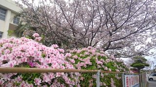 WIN_20260406_08_11_12_Pro